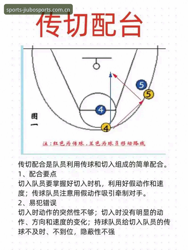 九博体育新手教程常见问题实用指南：避开五大误区，快速上手必备知识